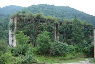 советские открытки