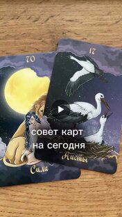 Совет карт, предсказания, таропрогноз