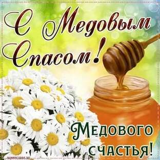 Медовый мир