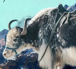 Интересное о регионе