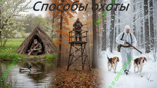 Способы охоты