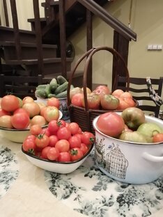 Полезности и вкусности