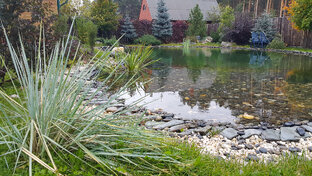 Озеленение