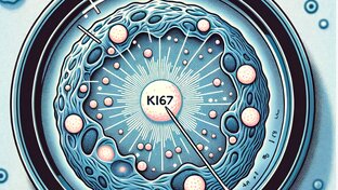 Интересные (на мой взгляд) статьи