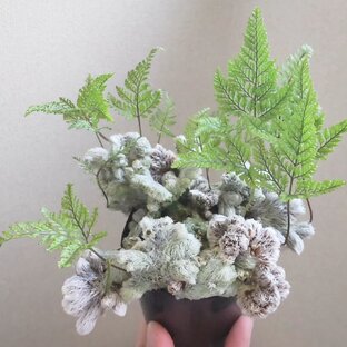 Мои хотелки