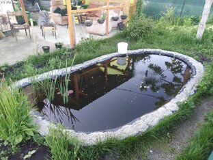 Пруд с рыбами на даче в челябинске