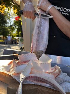 Северная дикая рыба