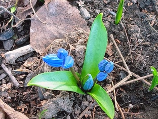 Архетип сезонности 