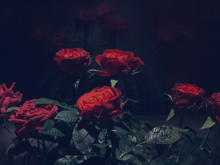 Ощущения. Читать