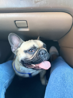 Беспечная жизнь нашего Митьки