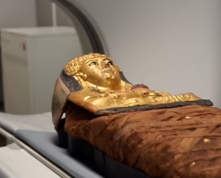 Интересные научные открытия