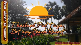 Таиланд: Паттайя, январь 2023. Наша первая поездка в эту страну