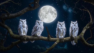 Прогноз на месяц