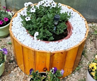 🌼 Клумба своими руками: как превратить старые вещи в стильное украшение сада