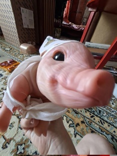 Кэри 