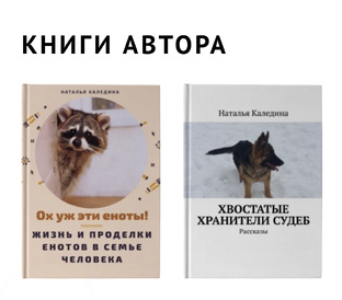 Мои книги 