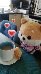 ❤️‍🩹Туториалы❤️‍🩹