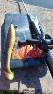 Советы по рыбалке