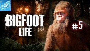 Bigfoot Life