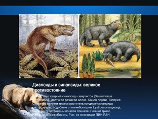 Синапсиды vs диапсиды