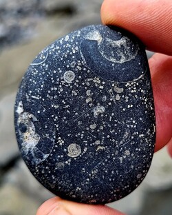 Новый взгляд на мир