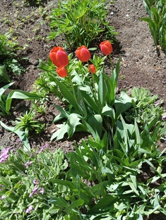 Подборка для постов.