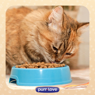 Про питание