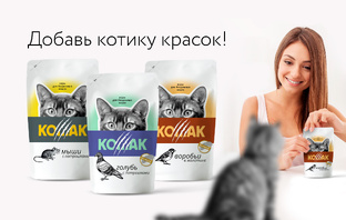 Корм для бездомных кошек