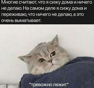 Тревога