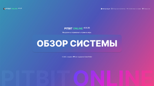 Обзор системы PITBIT ONLINE