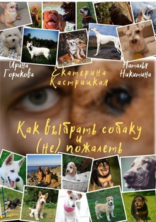 Как выбрать собаку и (не) пожалеть