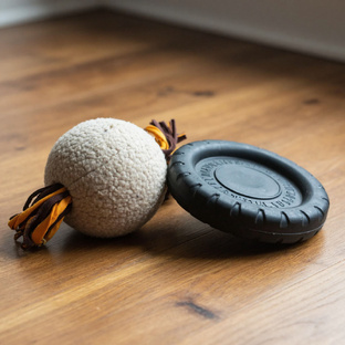 Игры и игрушки 