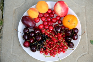 Здоровый образ жизни