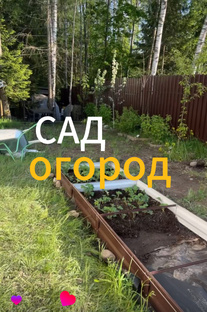 Сад и огород