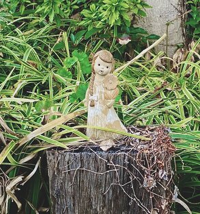 Что японцы делают в парках