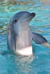 Лучшие статьи