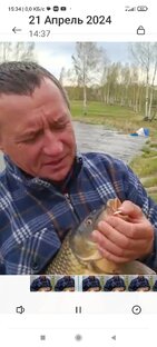золотая рыбка