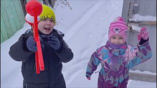 Мои дети и внуки. Сад и огород.