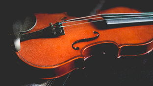 Скрипка🎻