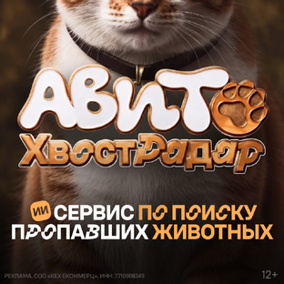 ХвостРадар