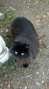 Они так нежны и трогательны