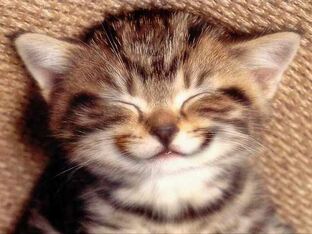 Психология