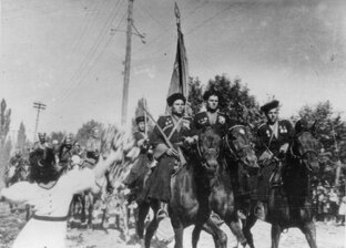Казаки 