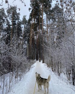 Путешествия