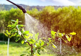 СТАТЬИ по ЗАЩИТЕ САДА ПРЕПАРАТЫ