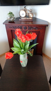 Моя любимая дача