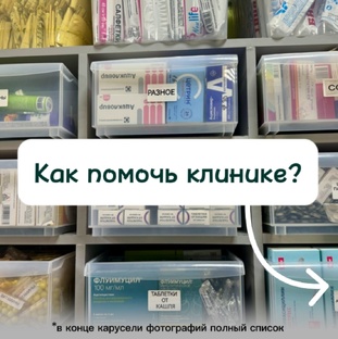 Необходимая помощь для Клиники и ее подопечных