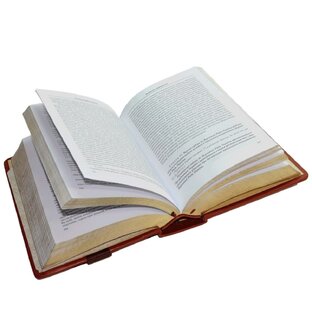 Взгляд на текст