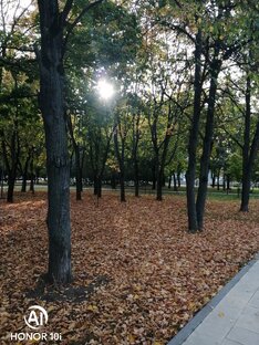 Осень 🍁🍁🍁