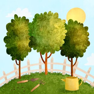 Инструкции